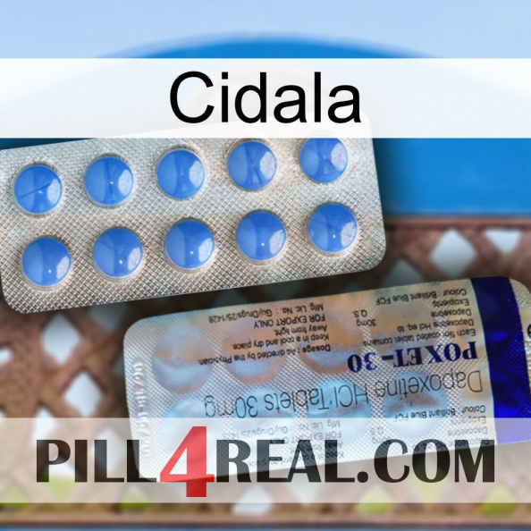 Cidala 39